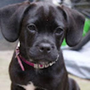 Meet your Posher, Naomi